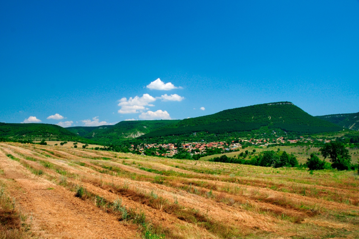 Paysage de la mi-juillet près du village d'Osmar, en Bulgarie du nord-est
